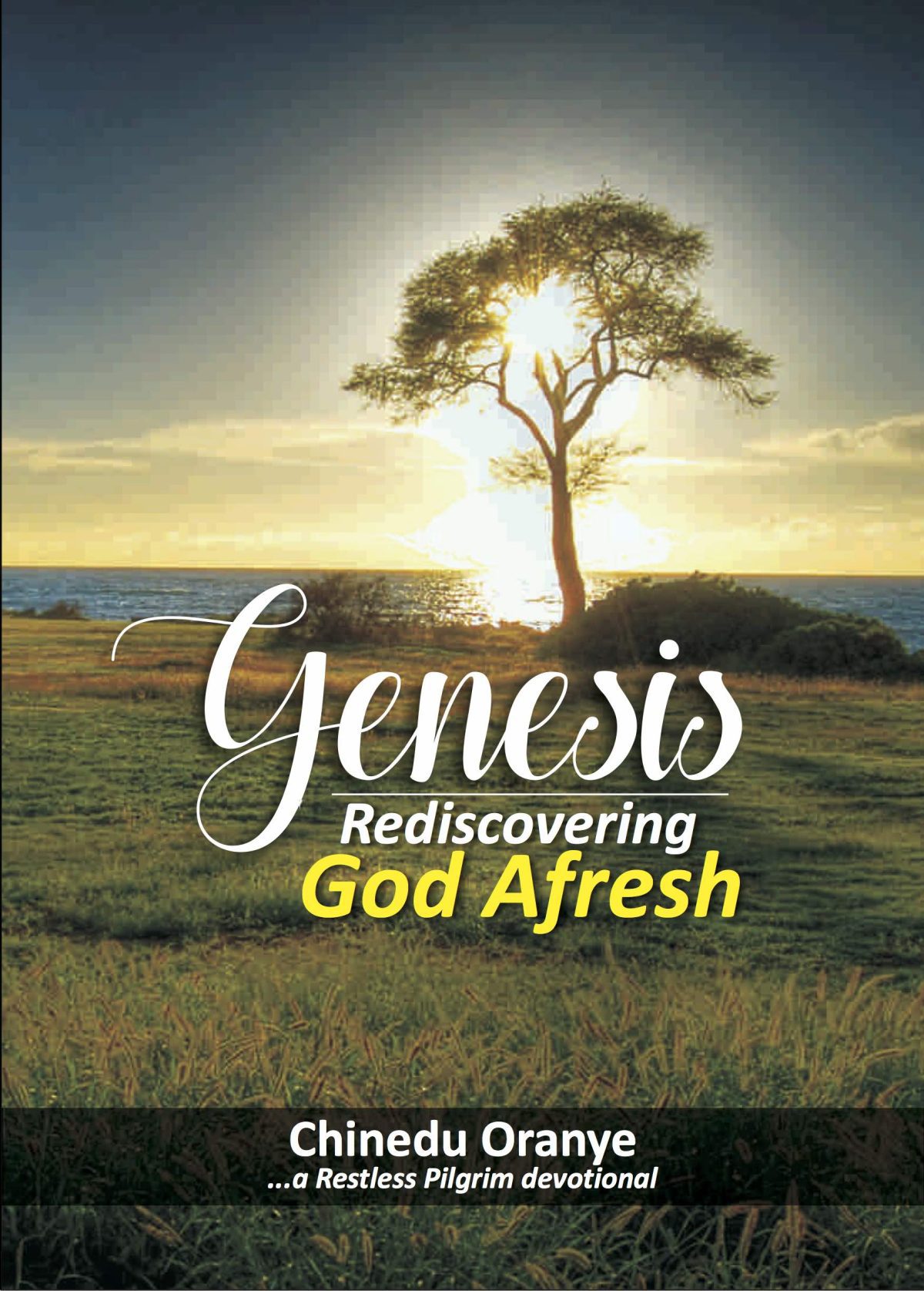 Genesis - Rediscovering God Afresh in ebook by Chinedu Oranye