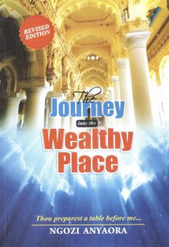 THE JOURNEY INTO THE WEALTHY PLACE