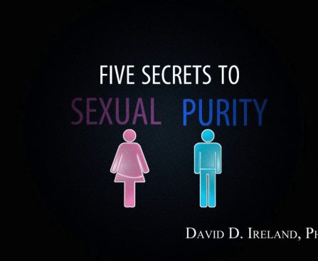 Lets Talk About Sex – There was no sexual involvement