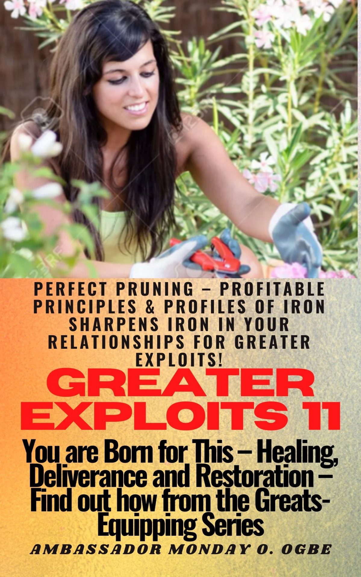 Greater Exploits – 11 Perfect Pruning – Profitable Principles & Profiles of Iron Sharpens Iron in your RELATIONSHIPS for greater Exploits! - You are Born for This – Healing, Deliverance and Restoration – Equipping Series By Ambassador Monday O. Ogbe