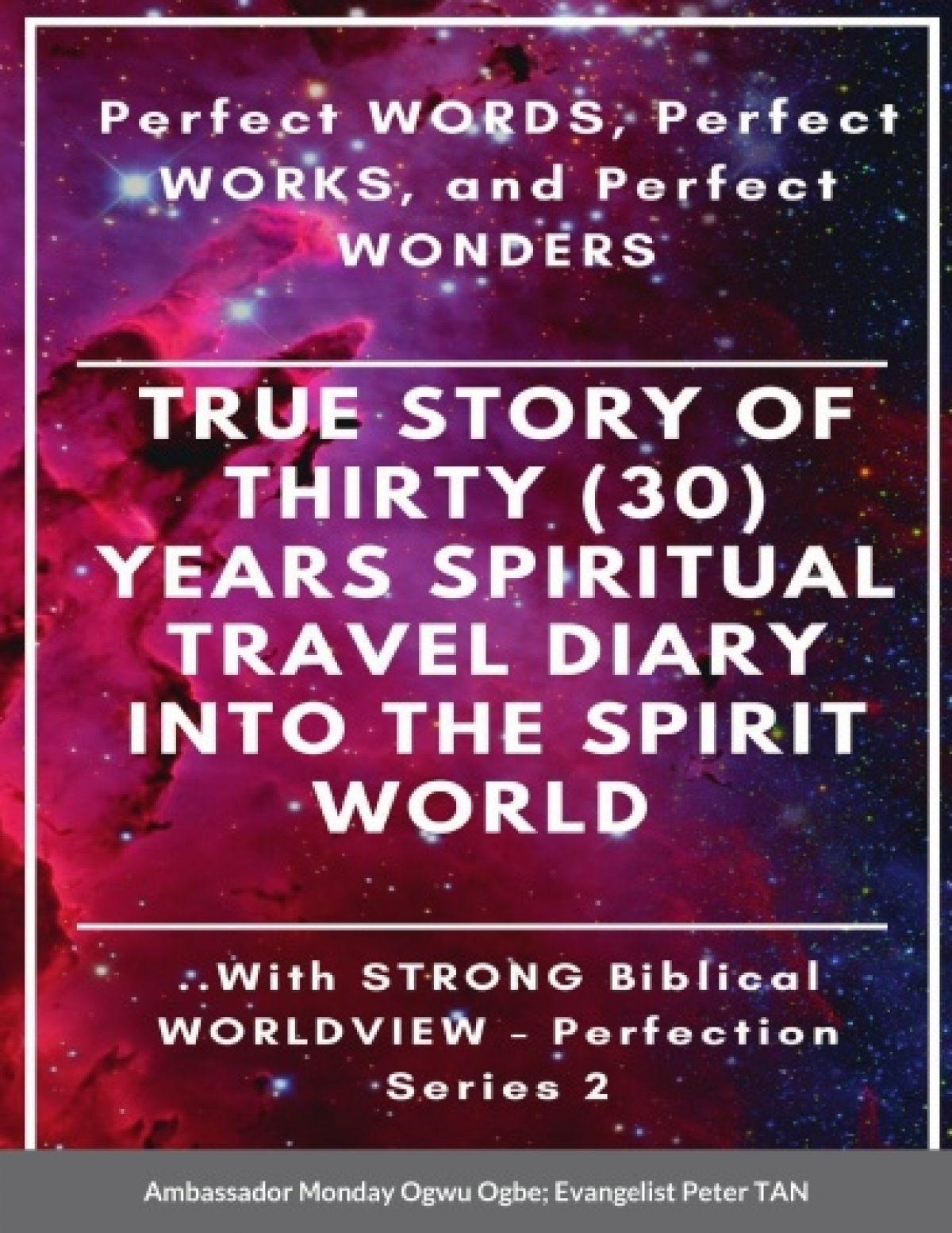 DIARY - True Story of Thirty (30) Years SPIRITUAL TRAVEL by Peter Tan - Paperback