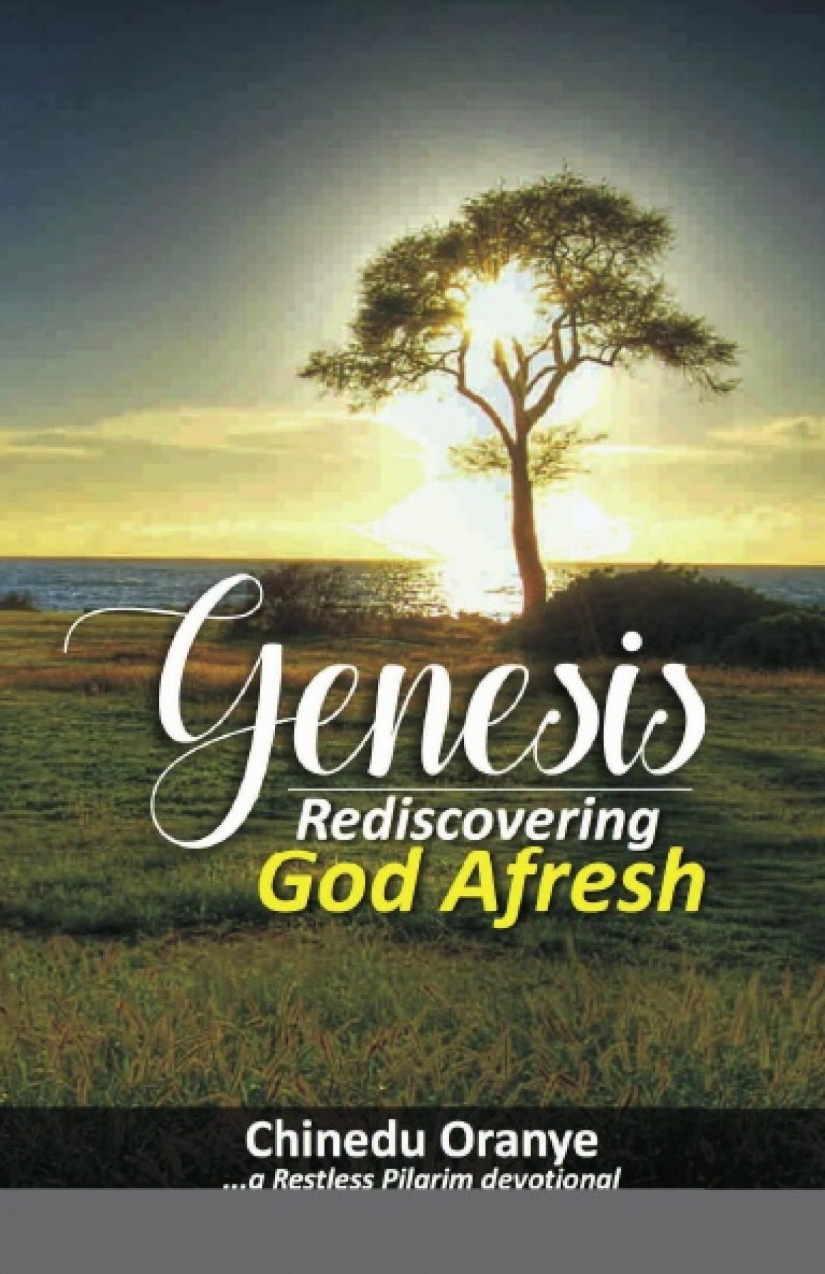 Genesis - Rediscovering God Afresh Paperback Edition by Chinedu Oranye