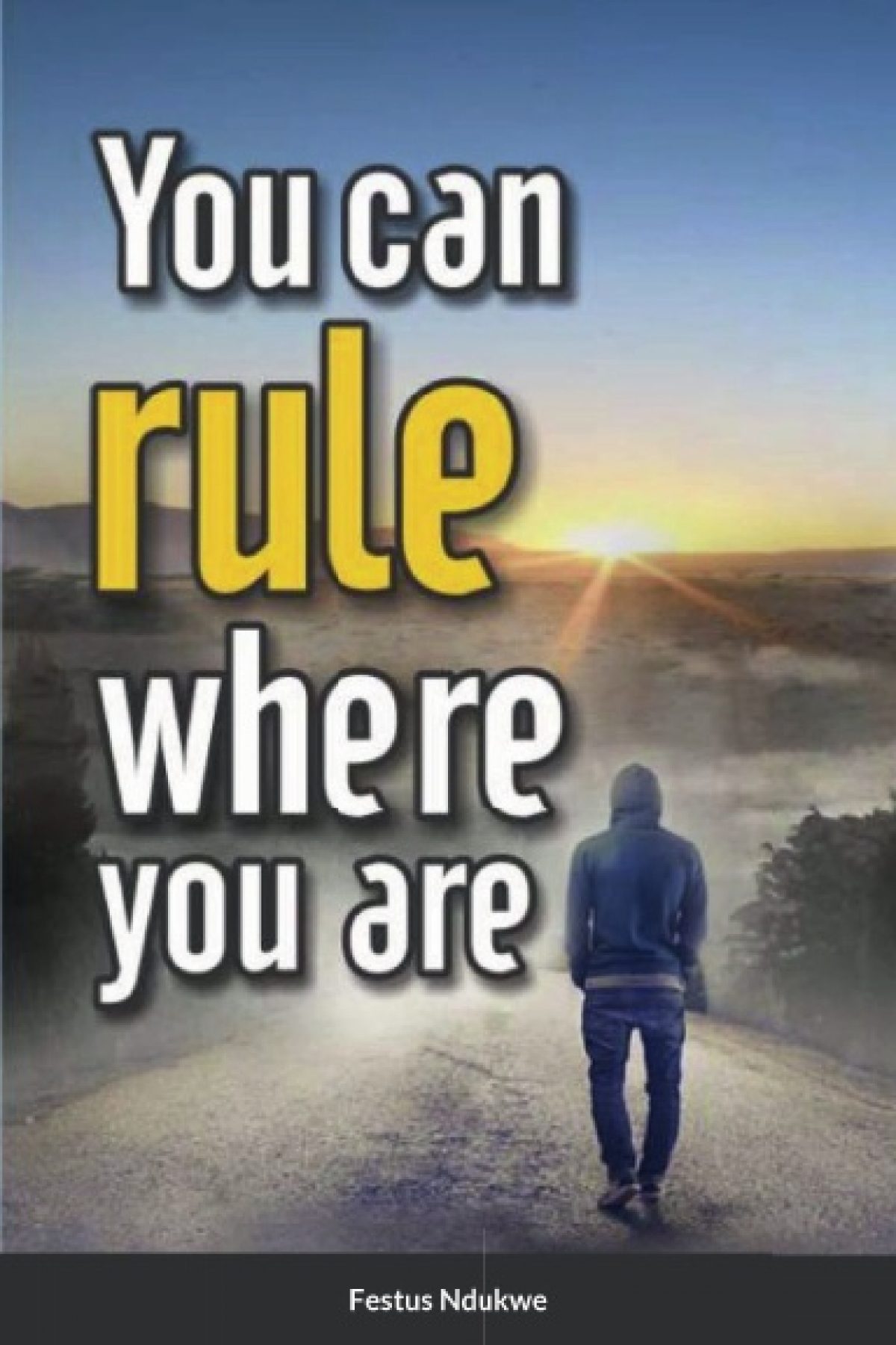 You Can Rule Where You Are - Paperback by Festus Ndukwe