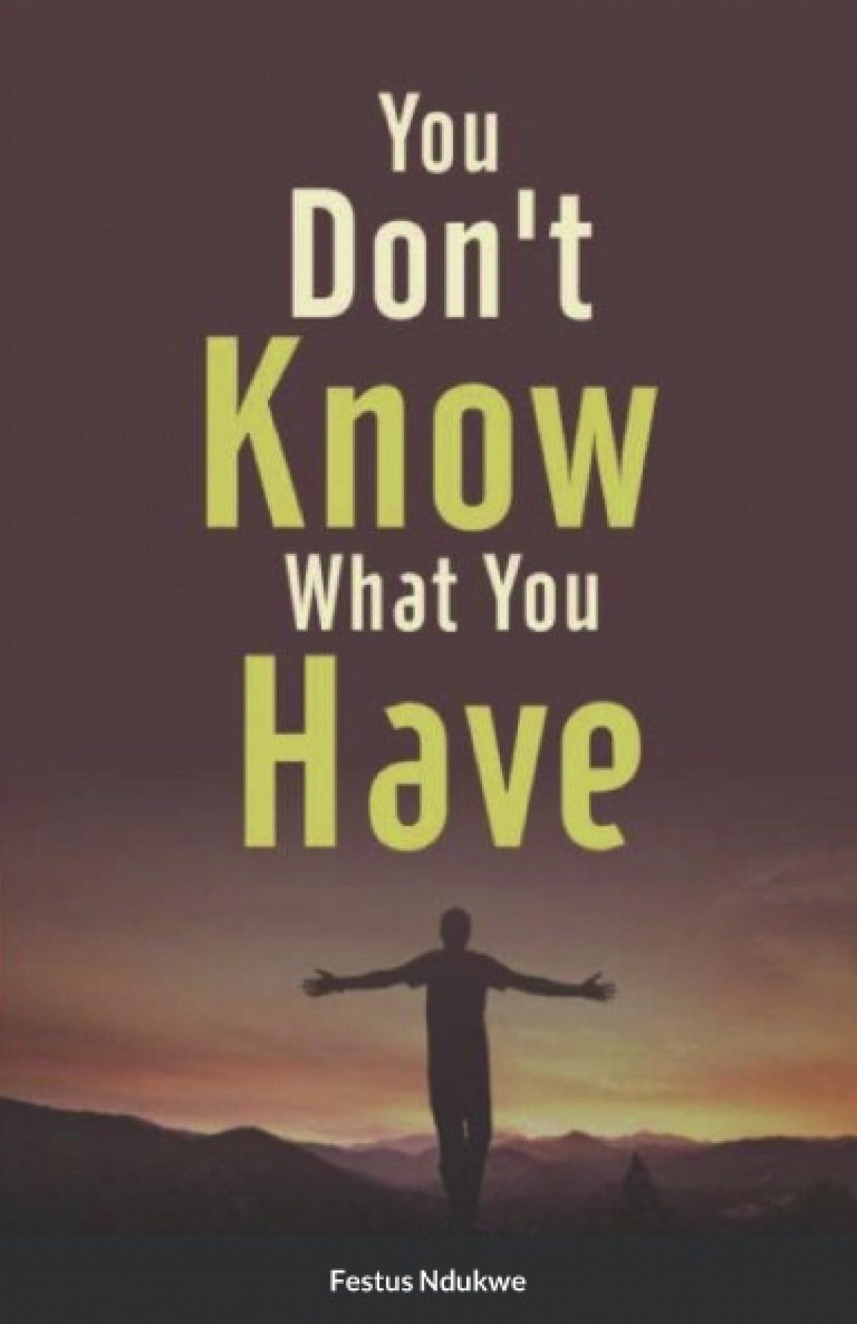 You Don’t Know What You have - Paperback - Festus Ndukwe
