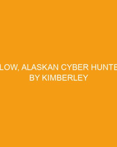 26 Below, Alaskan Cyber Hunters #1 by Kimberley Woodhouse