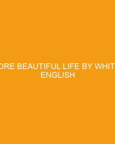 A More Beautiful Life by Whitney English