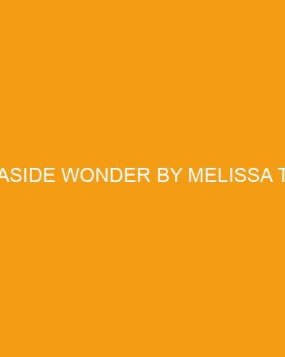 A Seaside Wonder by Melissa Tagg