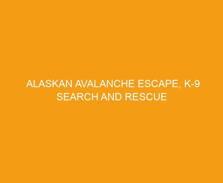 Alaskan Avalanche Escape, K 9 Search and Rescue #9 by Darlene Turner