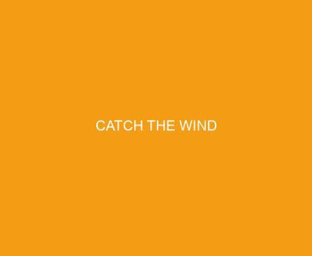 Catch the Wind