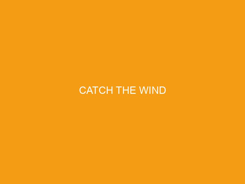 Catch the Wind
