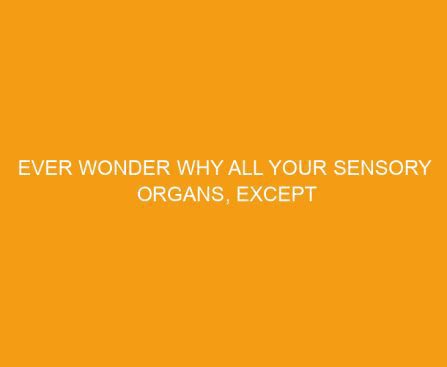 Ever wonder why all your sensory organs, except for one are all located so close to the brain?