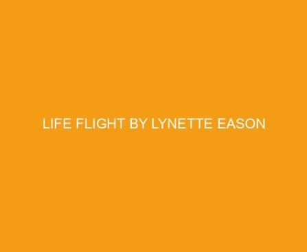 Life Flight by Lynette Eason