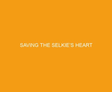 Saving the Selkie’s Heart