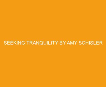 Seeking Tranquility by Amy Schisler