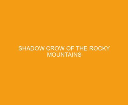 Shadow Crow of the Rocky Mountains
