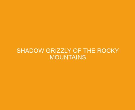 Shadow Grizzly of the Rocky Mountains