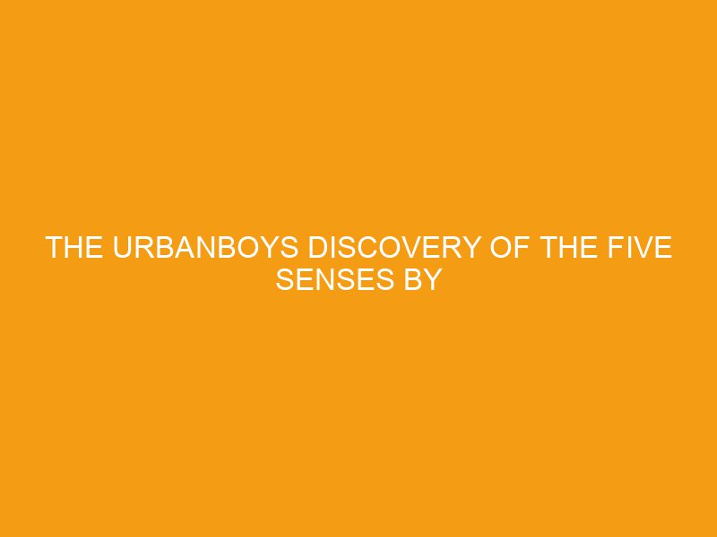 The Urbanboys Discovery of the Five Senses by K.N. Smith