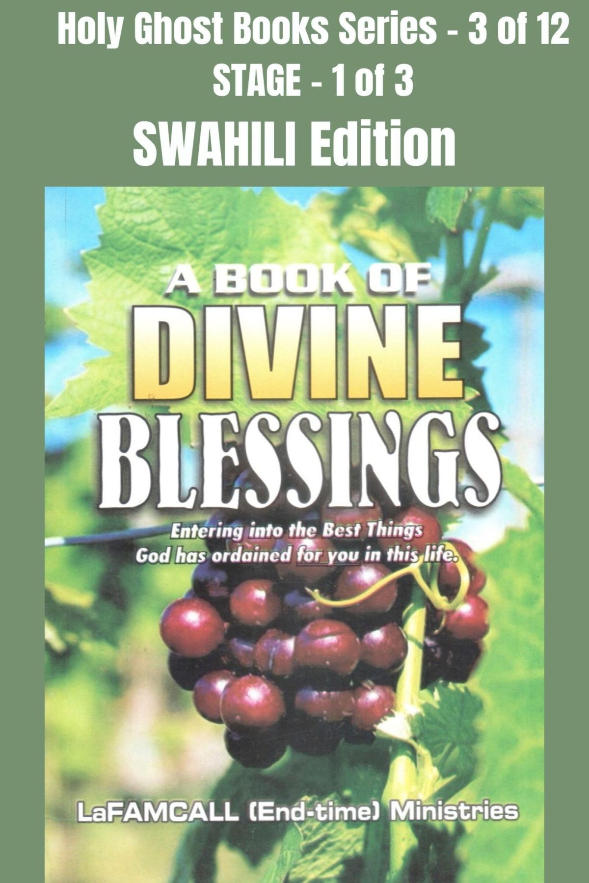 A Book on Divine Blessing SWAHILI - A BOOK OF DIVINE BLESSINGS - Entering into the Best Things God has ordained for you in this life - SWAHILI EDITION - Ebook School of the Holy Spirit Series 3 of 12, Stage 1 of 3