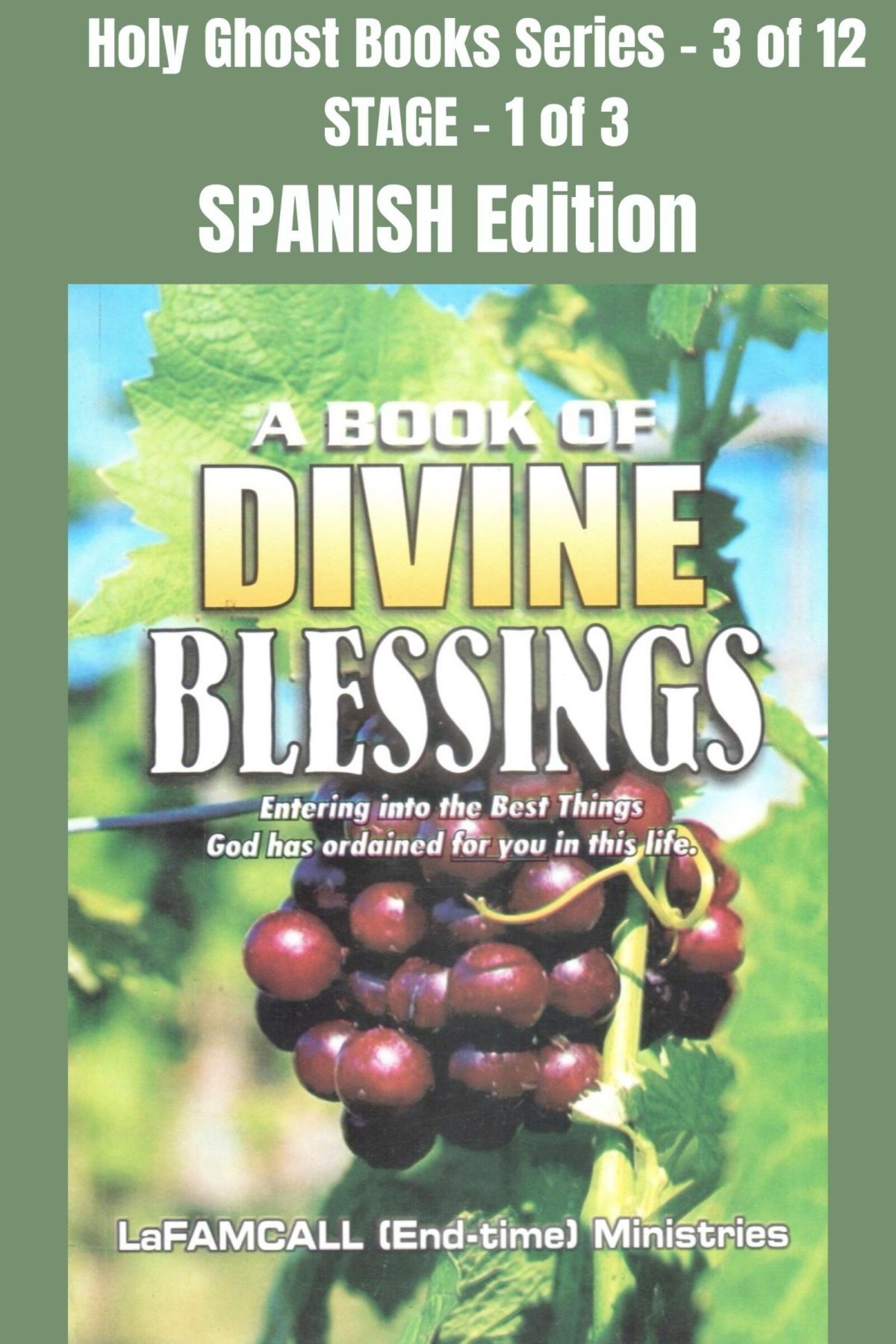 A Book on Divine Blessing Spanish - A BOOK OF DIVINE BLESSINGS - Entering into the Best Things God has ordained for you in this life - SPANISH EDITION - Ebook School of the Holy Spirit Series 3 of 12, Stage 1 of 3