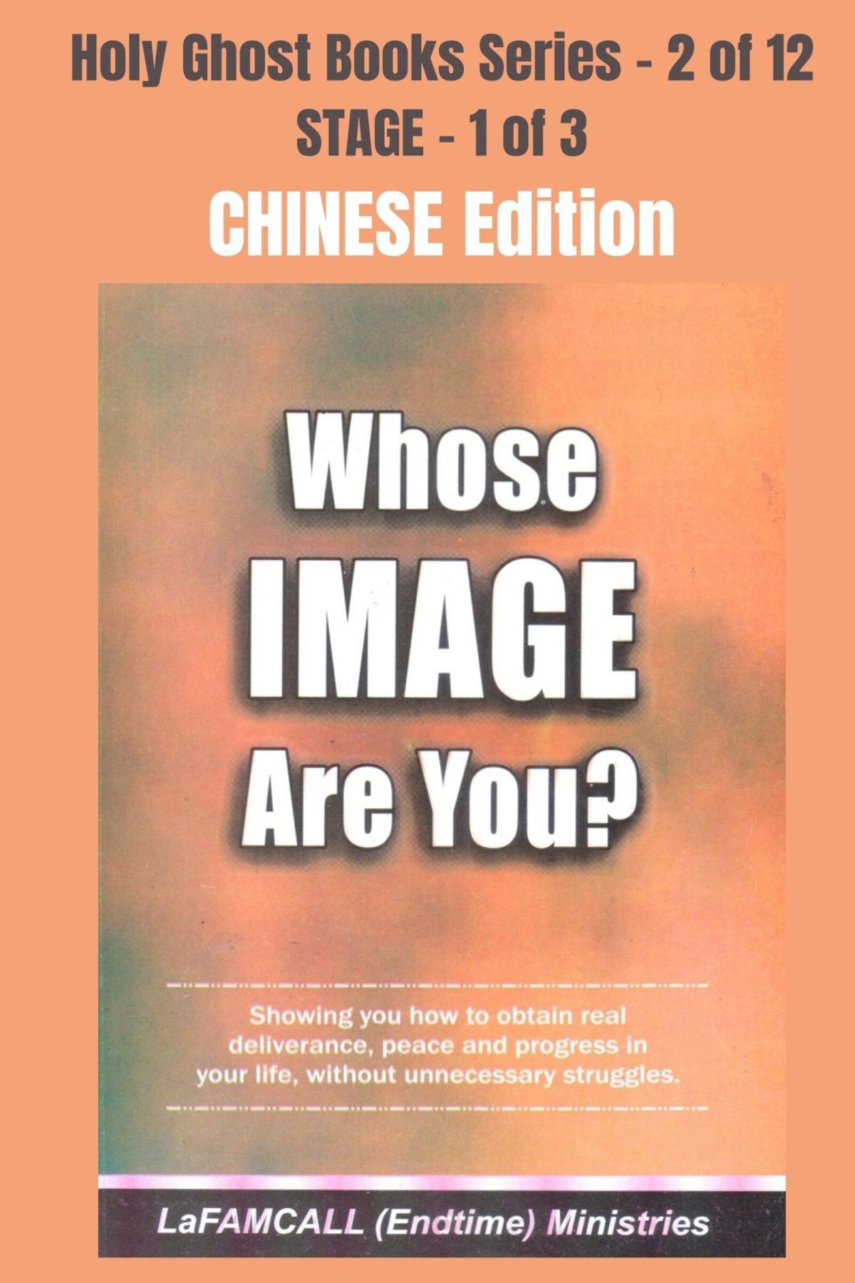 Whose Image are you Chinese - WHOSE IMAGE ARE YOU? Showing you how to obtain real deliverance, peace and progress in your life, without unnecessary struggles - CHINESE EDITION - Ebook School of the Holy Spirit Series 2 of 12, Stage 1 of 3
