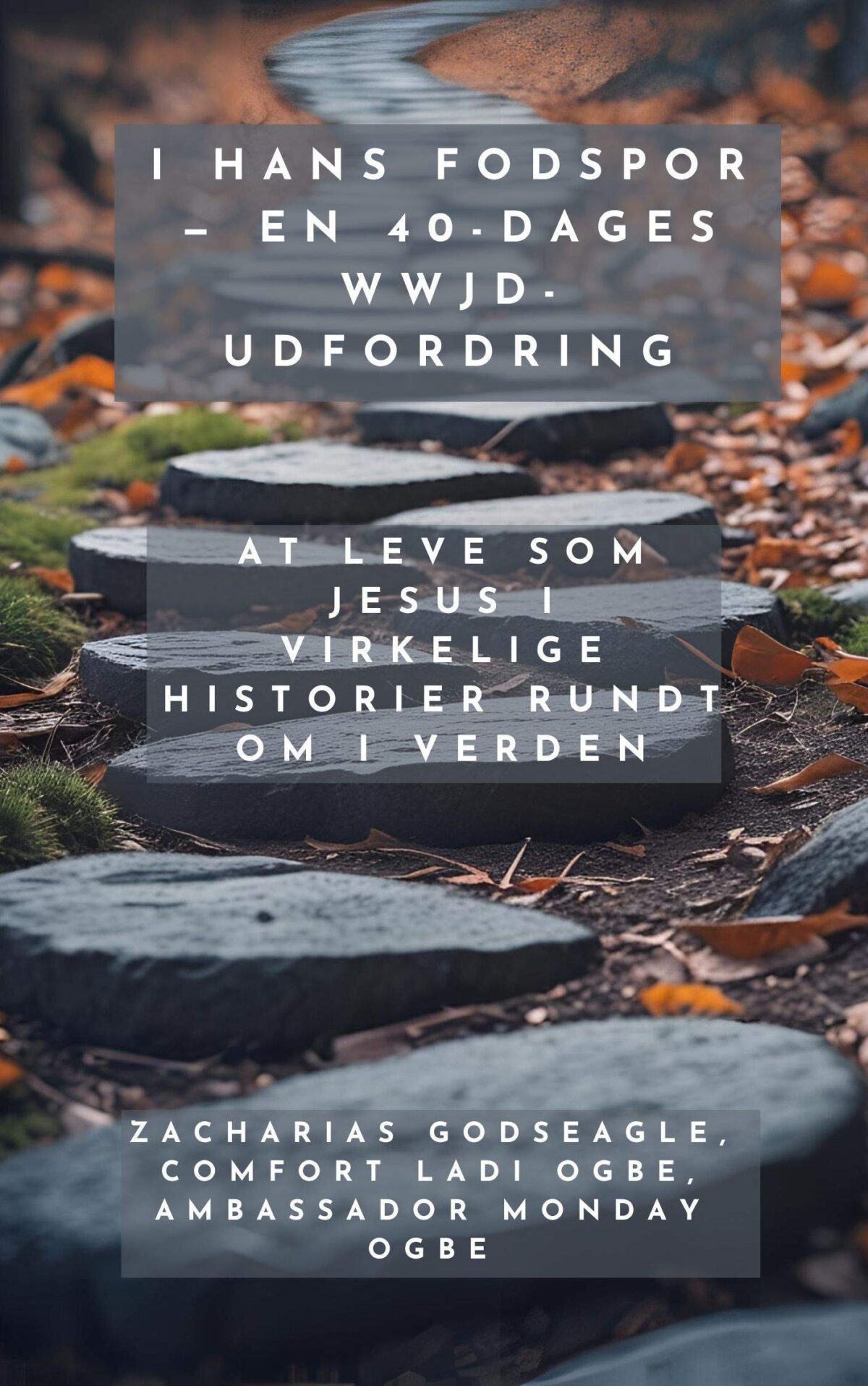 I hans fodspor — En 40-dages WWJD-udfordring: At leve som Jesus i virkelige historier rundt om i verden Ved Zacharias Godseagle , Comfort Ladi Ogbe , ambassador Monday O. Ogbe