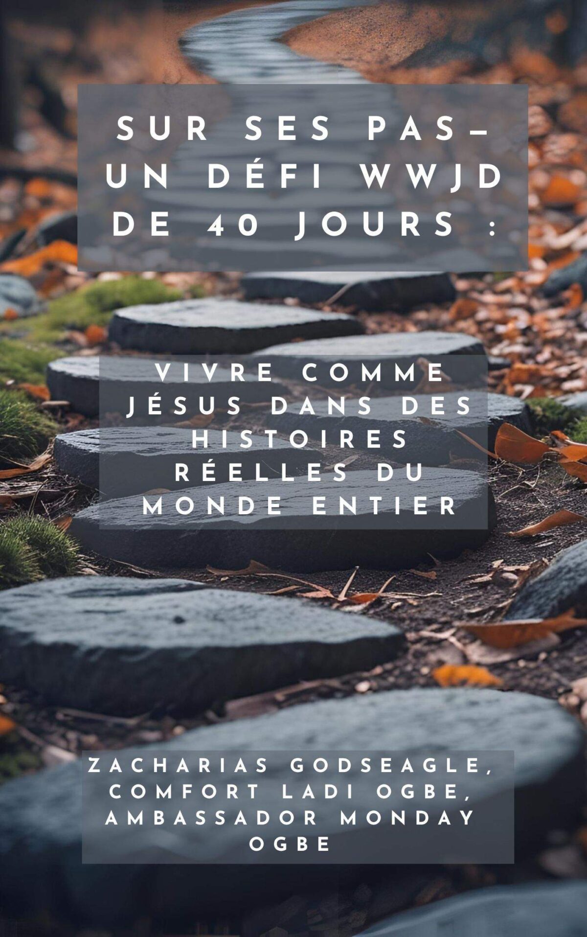 Sur ses pas — Un défi WWJD de 40 jours : Vivre comme Jésus dans des histoires réelles du monde entier Par Zacharias Godseagle , Confort Ladi Ogbe , Ambassador Monday O. Ogbe
