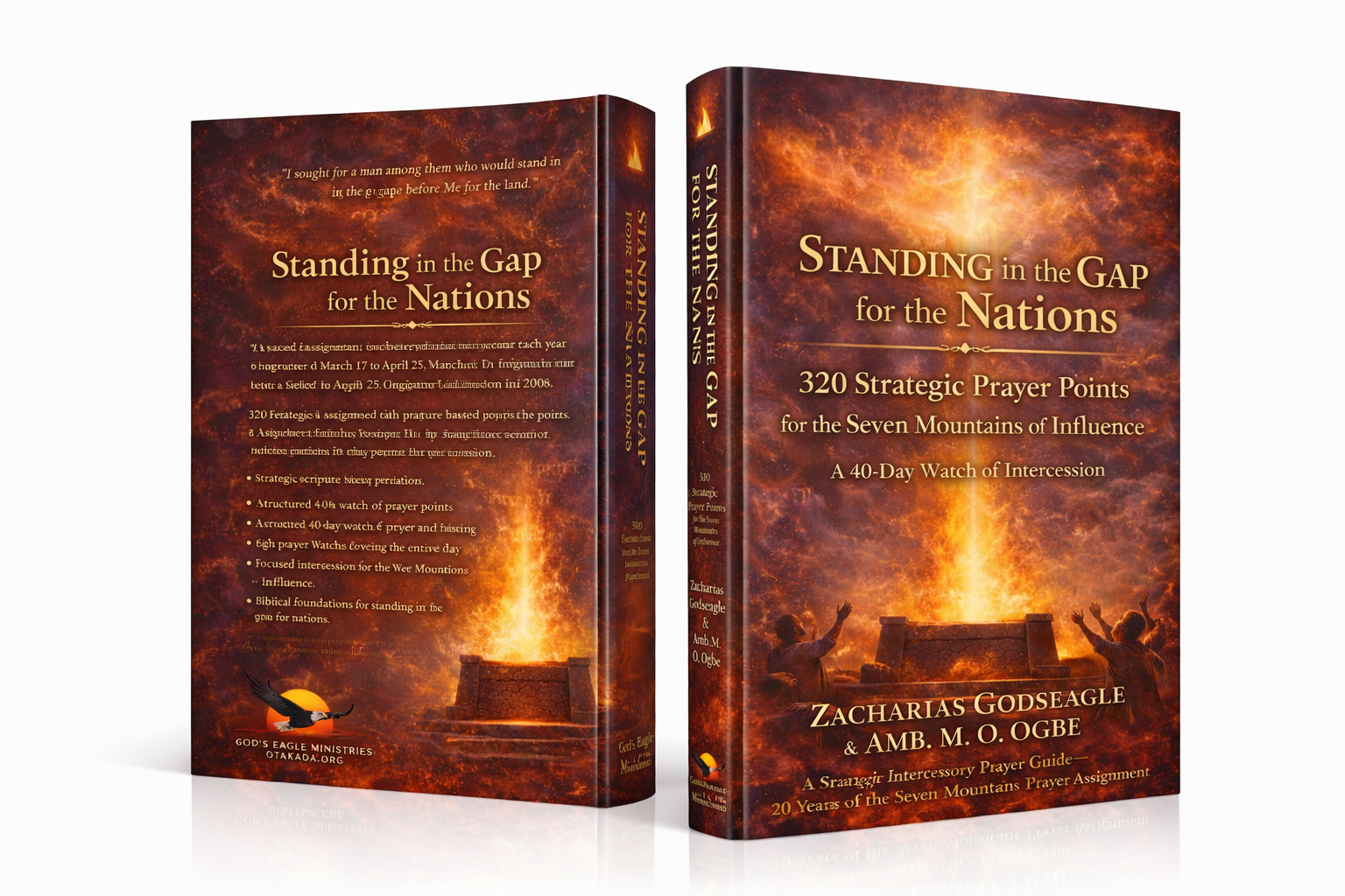 Standing in the Gap for the Nations - 320 Strategic Prayer Points for the Seven Mountains of Influence - Ebook 2 standing in the gap